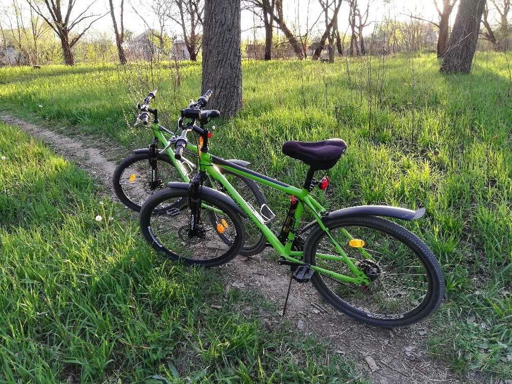Фотография покупателя товара Велосипед 26" Progress модель Advance Disc RUS, цвет зеленый, размер рамы 19" - Фото 4