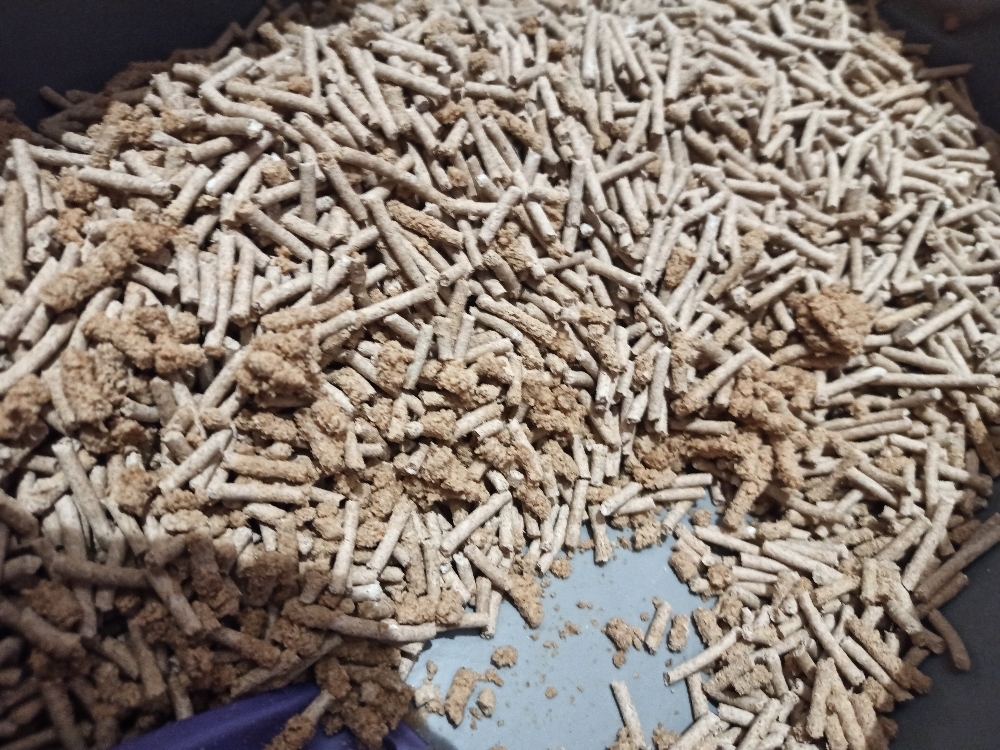 Фотография покупателя товара Наполнитель зерновой комкующийся "Чистые пушистые" классический, гранула ᴓ 2.5мм/2.7 кг/5л - Фото 1