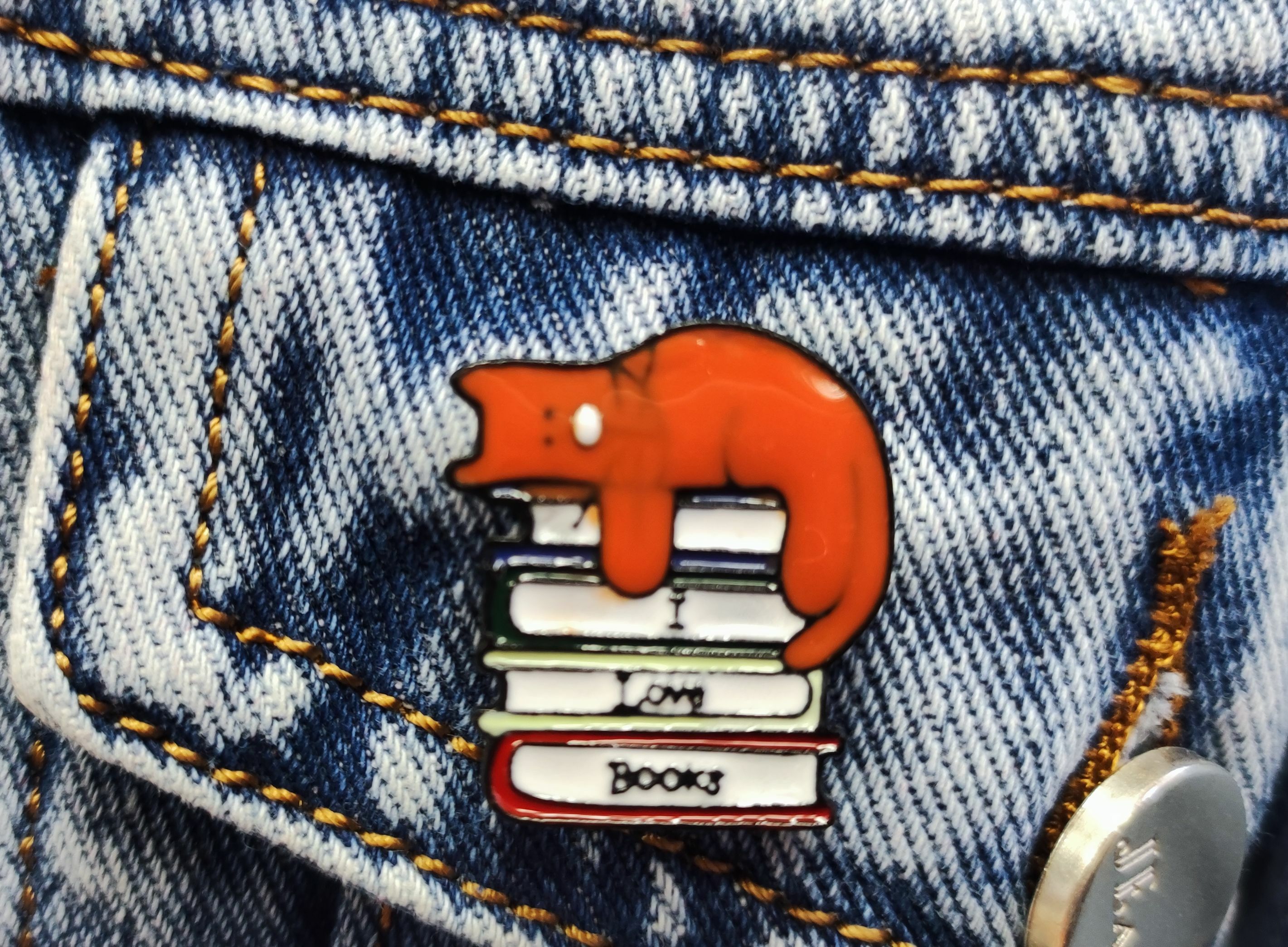 Фотография покупателя товара Значок «Кот» на книгах, цветной в чёрном металле - Фото 1