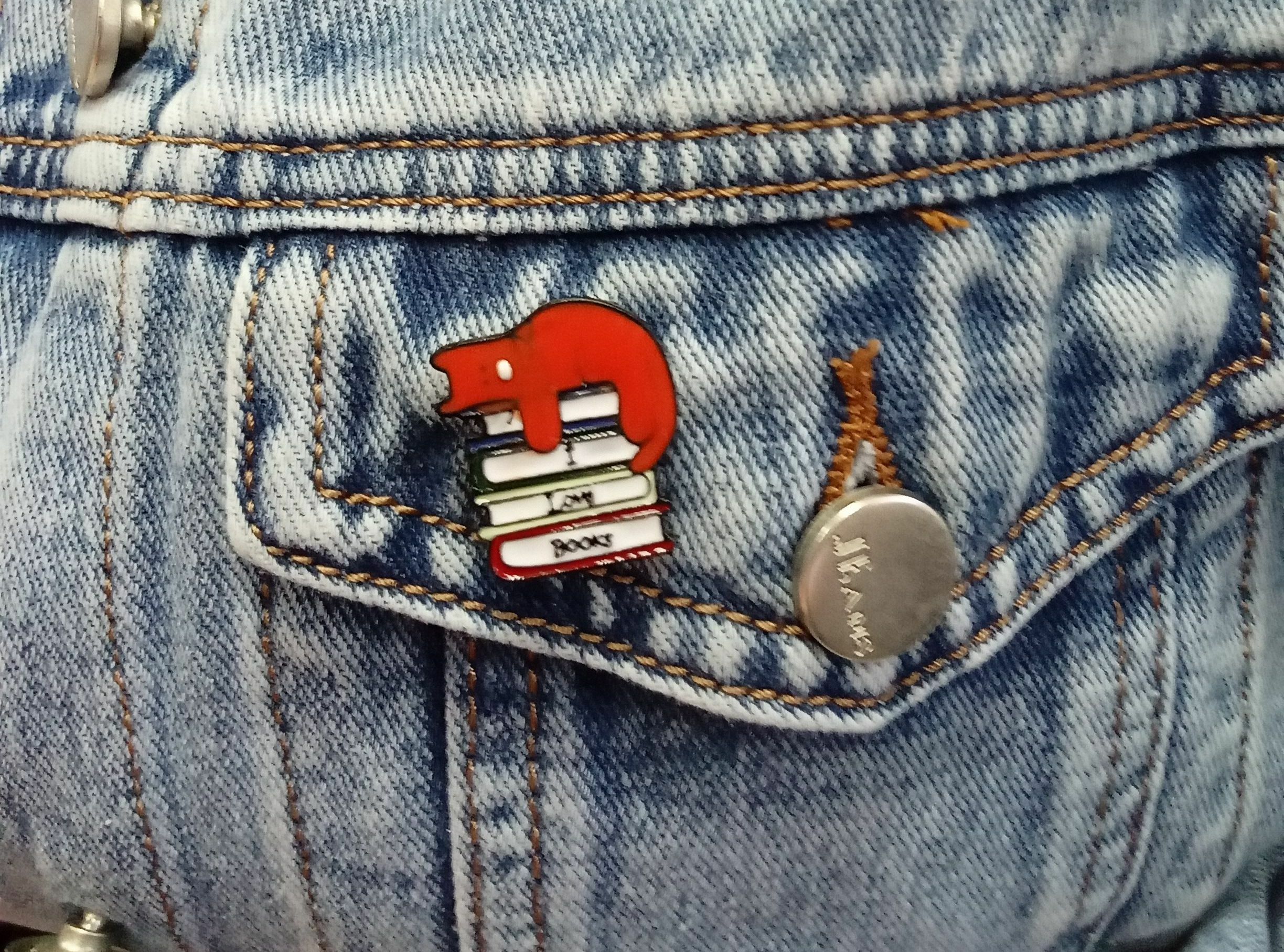 Фотография покупателя товара Значок «Кот» на книгах, цветной в чёрном металле - Фото 2