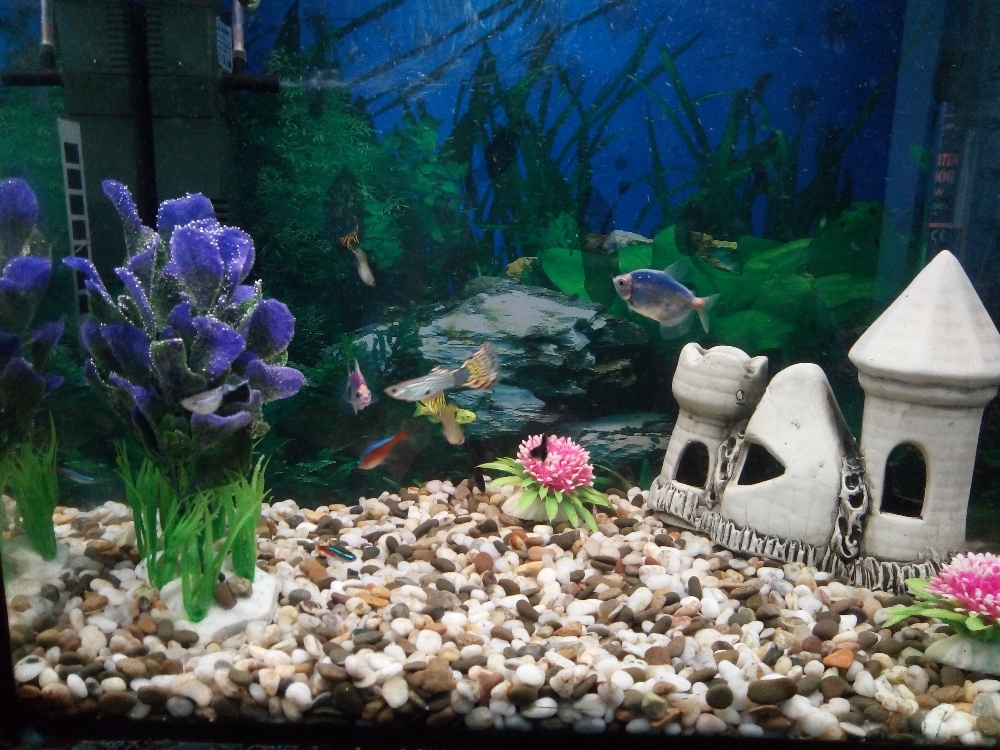 Фотография покупателя товара Декорация для аквариума "Башенки камнями'', 7х17х15 см, микс - Фото 4