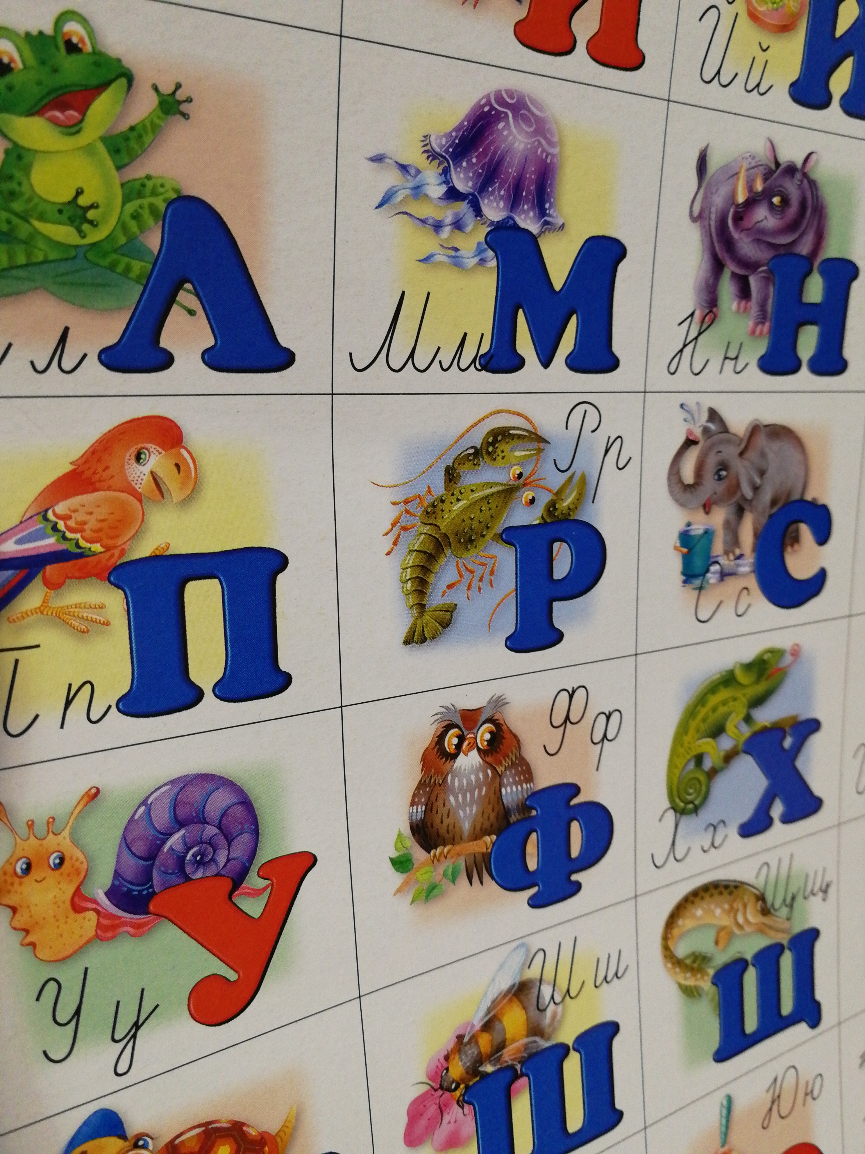Фотография покупателя товара Плакат «Азбука русская с прописными буквами», малый формат
