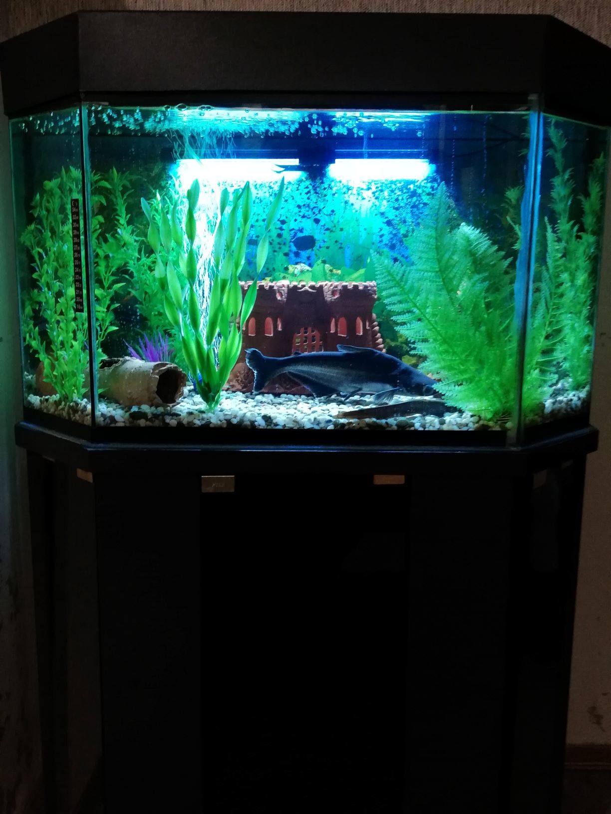 Фотография покупателя товара Светильник подводный, BARBUS LED 026, 40 см, 7,2 Вт, белый - Фото 4