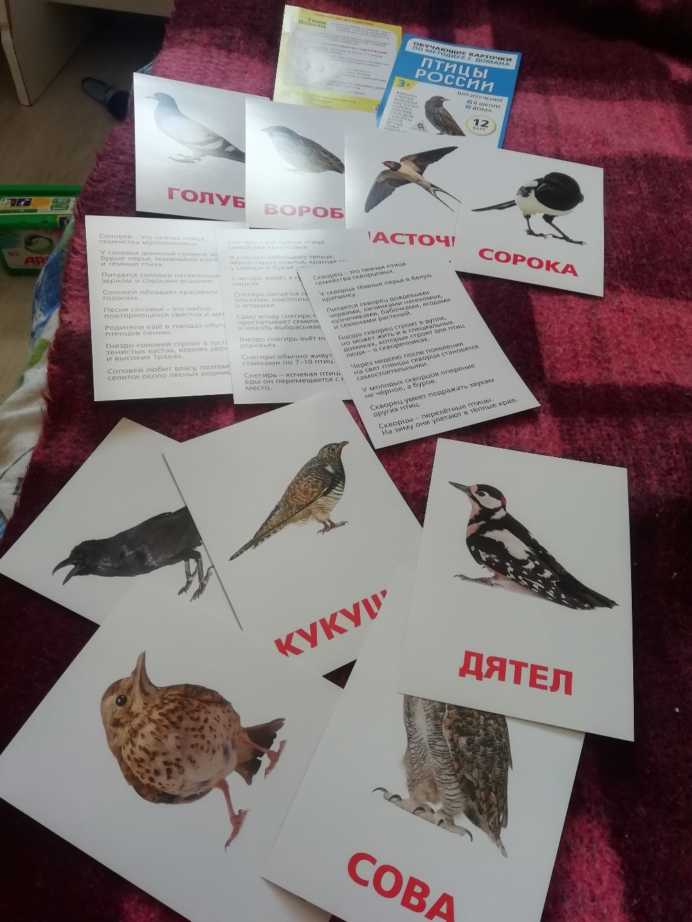 Фотография покупателя товара Обучающие карточки по методике Г. Домана «Птицы России», 12 карт, А6 - Фото 1