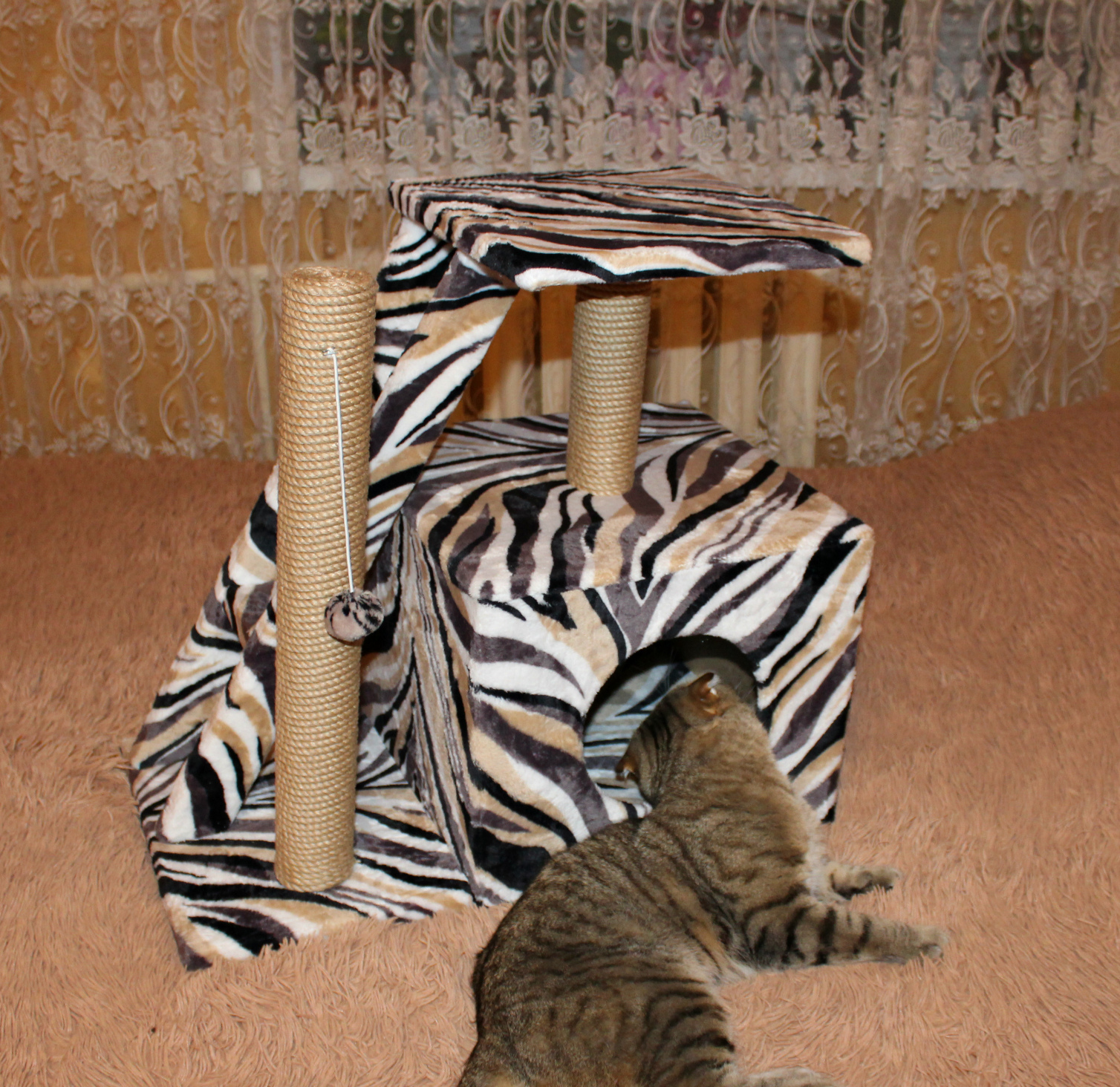 Фотография покупателя товара Домик для кошек с когтеточкой "Домосед", с лестницей и площадкой, 60 х 35 х 56 см, микс - Фото 23
