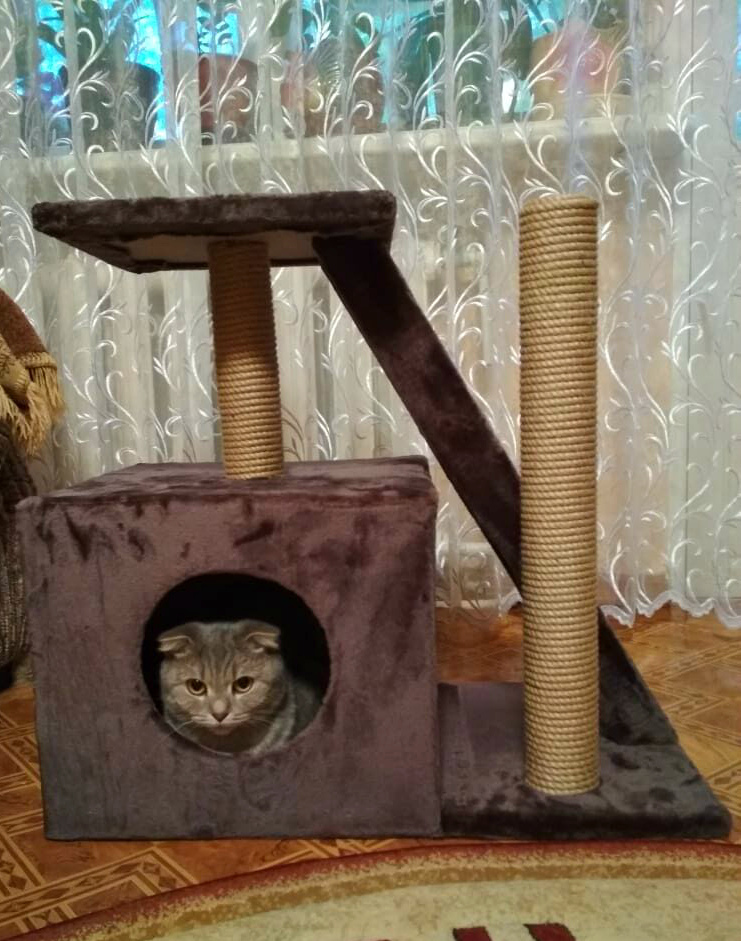 Фотография покупателя товара Домик для кошек с когтеточкой "Домосед", с лестницей и площадкой, 60 х 35 х 56 см, микс - Фото 21