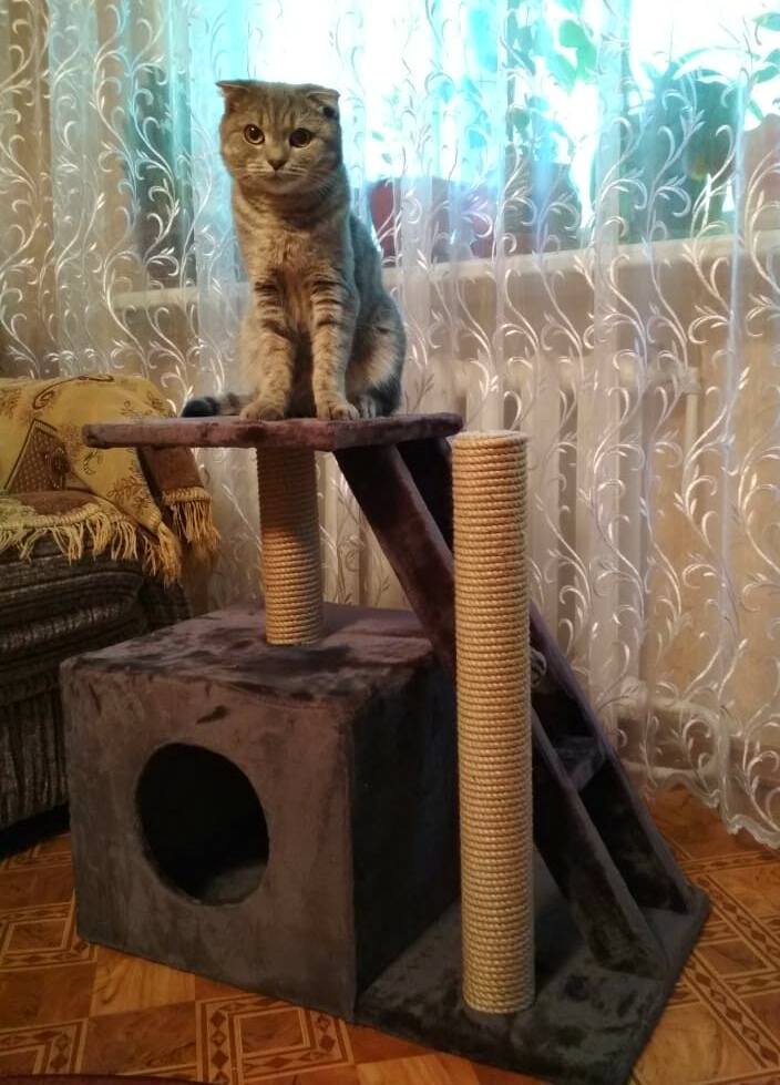 Фотография покупателя товара Домик для кошек с когтеточкой "Домосед", с лестницей и площадкой, 60 х 35 х 56 см, микс - Фото 22