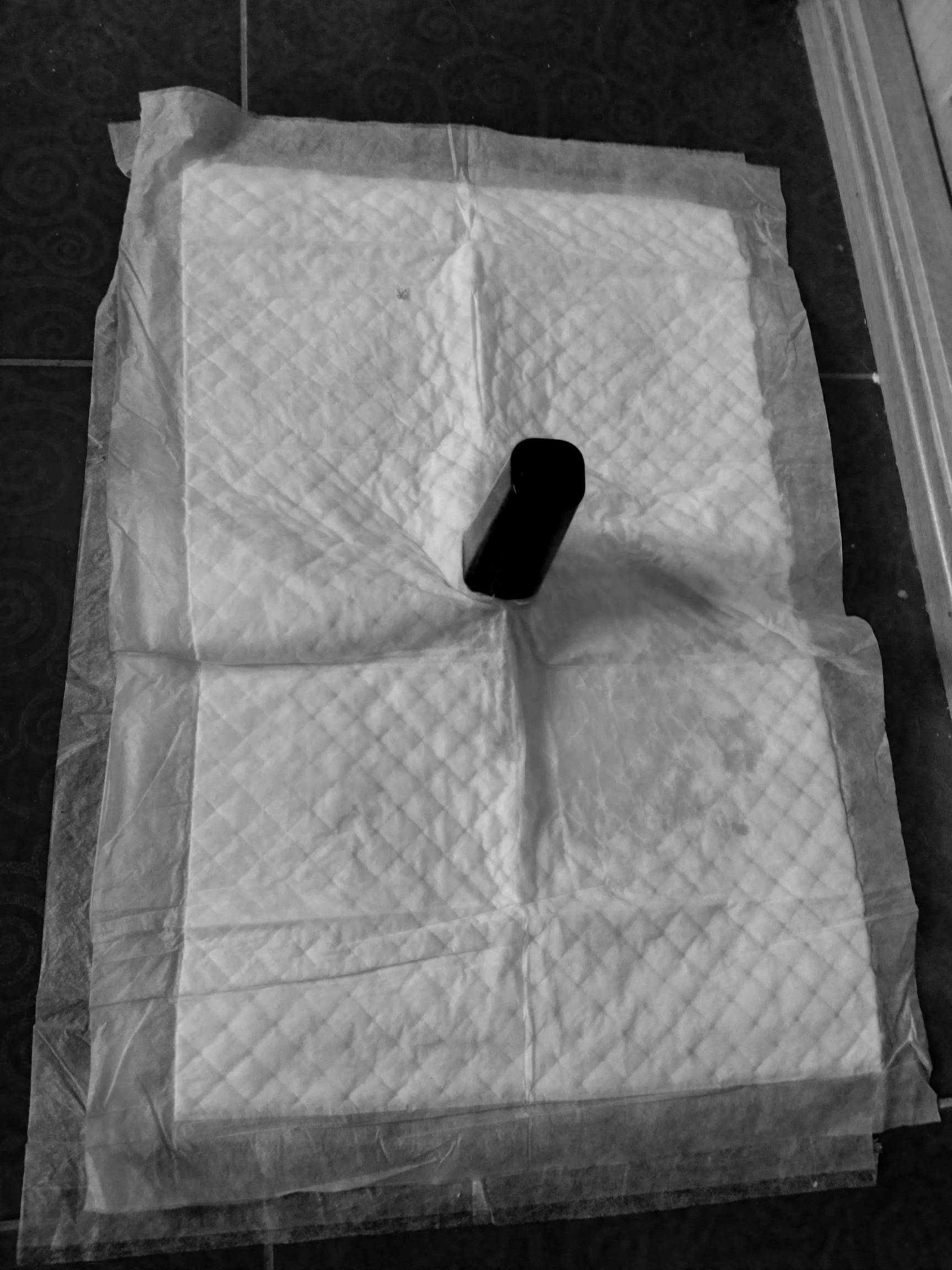 Фотография покупателя товара Пеленки впитывающие "ПИЖОН" для животных целлюлозные, 60 х 40 см (в наборе 30 шт)