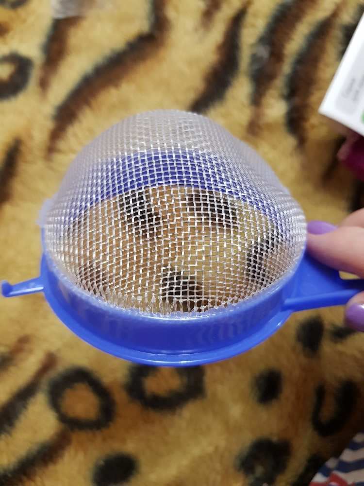 Фотография покупателя товара Сито пластиковое круглое с ручкой Доляна, d=9 см, цвет МИКС - Фото 8