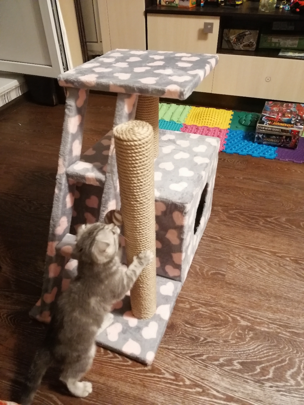 Фотография покупателя товара Домик для кошек с когтеточкой "Домосед", с лестницей и площадкой, 60 х 35 х 56 см, микс - Фото 18