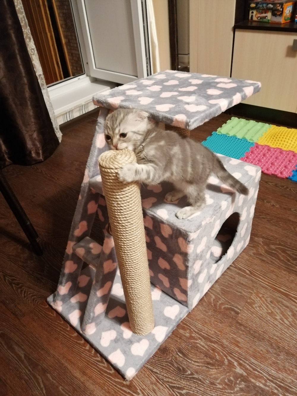 Фотография покупателя товара Домик для кошек с когтеточкой "Домосед", с лестницей и площадкой, 60 х 35 х 56 см, микс - Фото 19