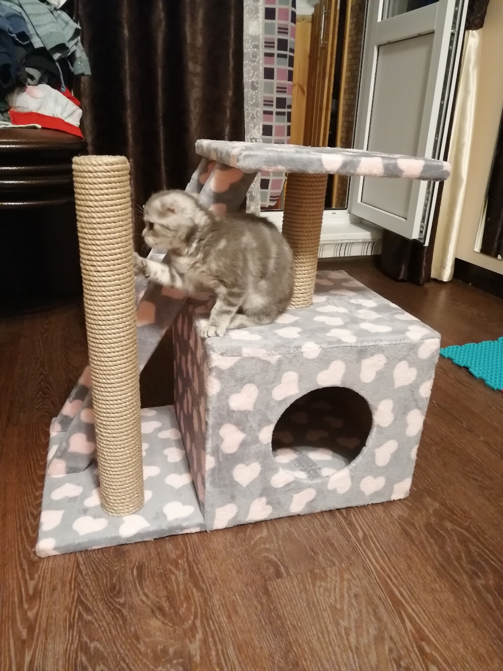 Фотография покупателя товара Домик для кошек с когтеточкой "Домосед", с лестницей и площадкой, 60 х 35 х 56 см, микс - Фото 20