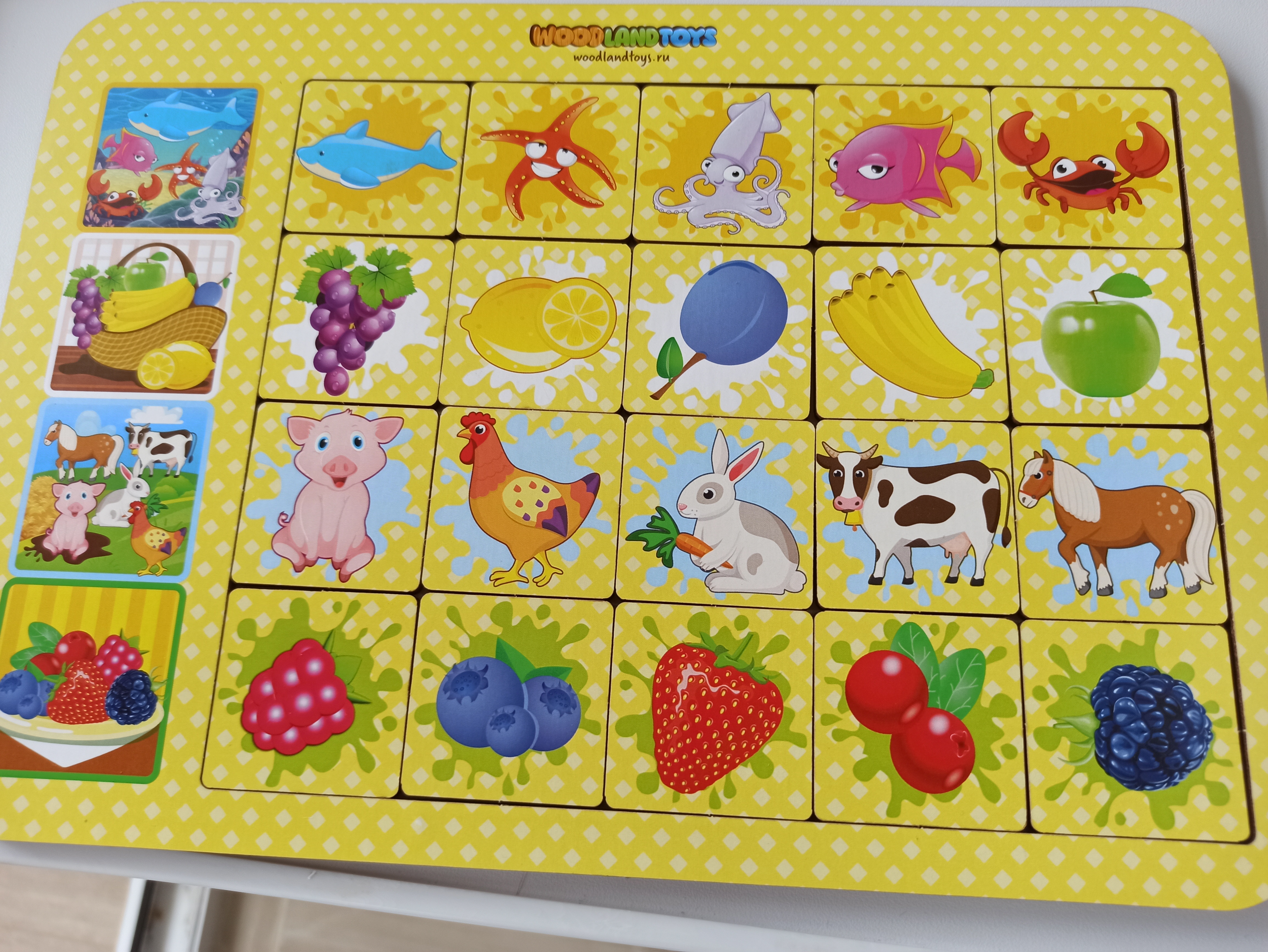 Фотография покупателя товара Игра настольная «Ассоциации: ягоды, животные, фрукты»