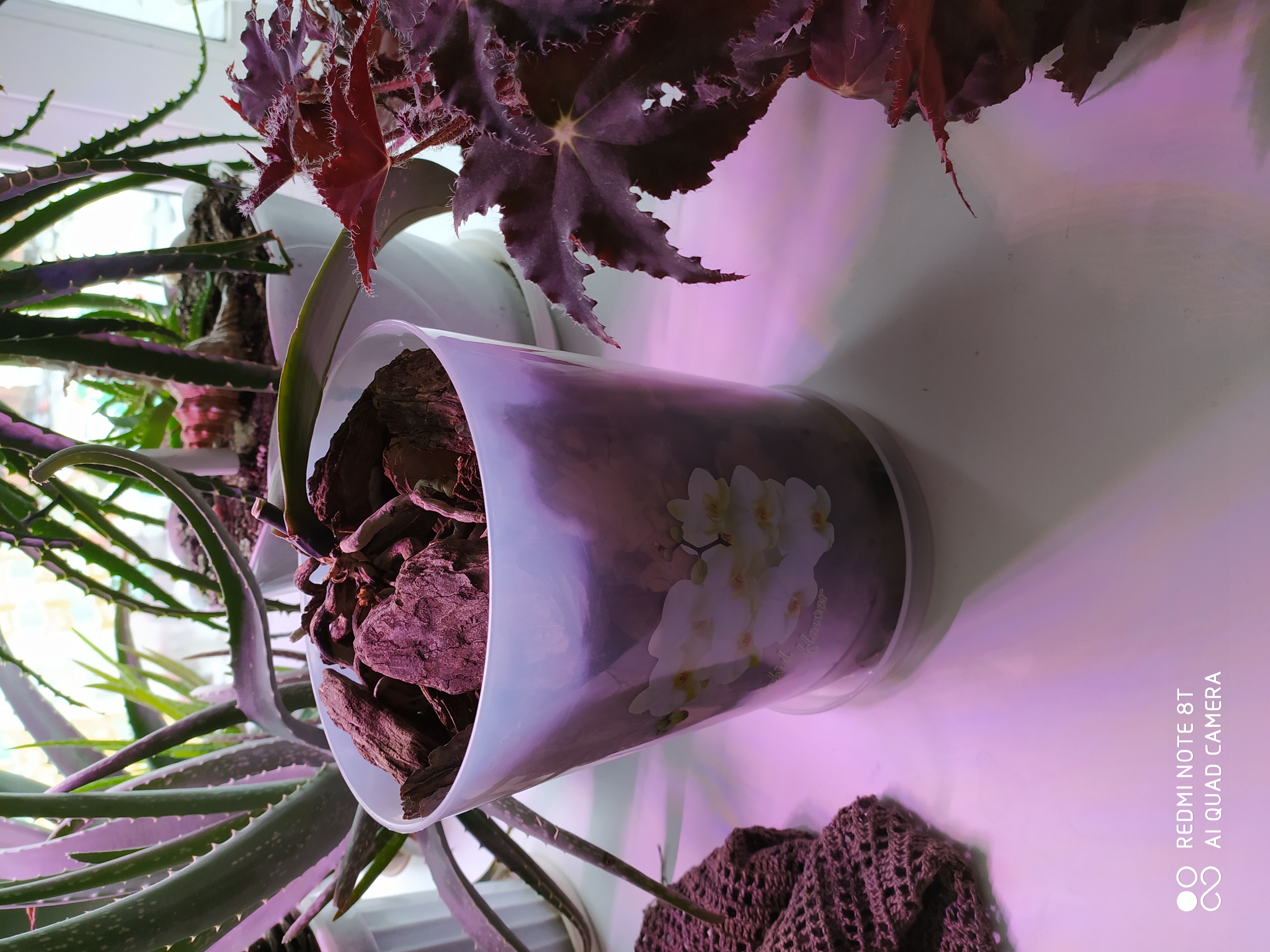 Фотография покупателя товара Горшок для орхидей с поддоном, 1,2 л, цвет МИКС - Фото 6