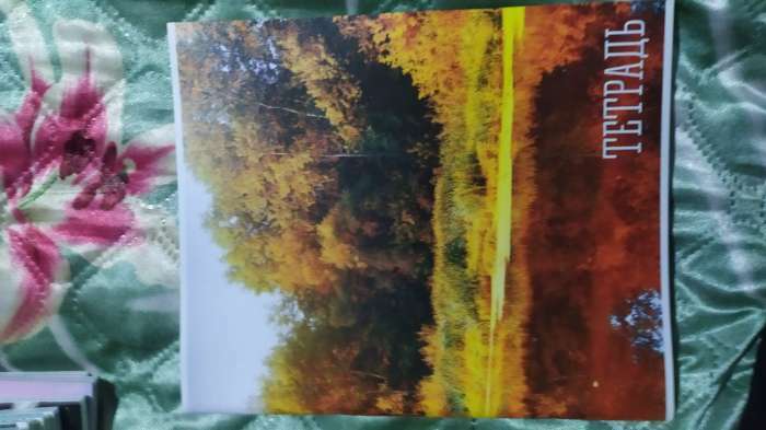 Фотография покупателя товара Тетрадь 48 листов в клетку, Calligrata «Времена года», серые листы, МИКС - Фото 1