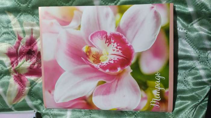 Фотография покупателя товара Тетрадь 96 листов в клетку «Цветы», серые листы, МИКС - Фото 1