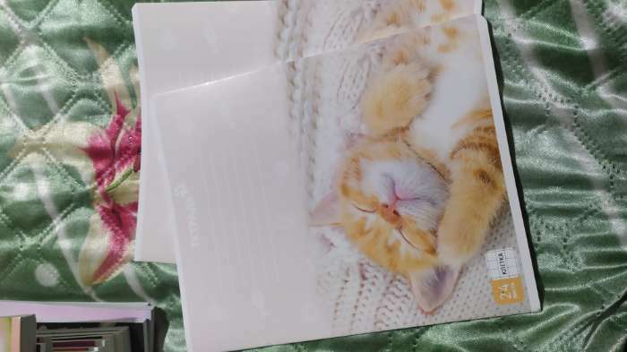 Фотография покупателя товара Тетрадь в клетку, 24 листа, А5, на скрепке, блок №1 «Гонщику» МИКС - Фото 15