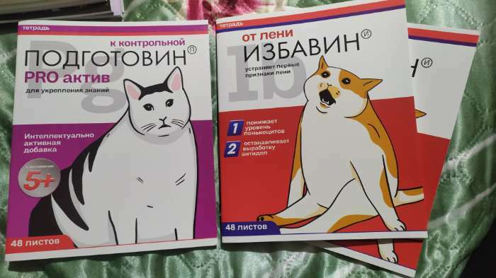 Фотография покупателя товара Тетрадь в клетку, 48 л., А5, на скрепке, блок №1 «Панды» МИКС - Фото 35