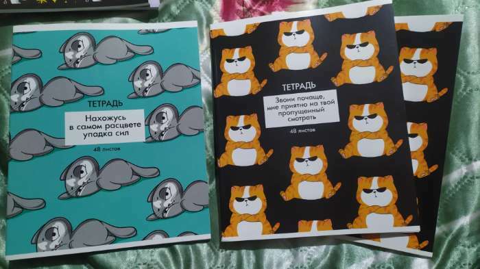 Фотография покупателя товара Тетрадь в клетку, 48 л., А5, на скрепке, блок №1 «Панды» МИКС - Фото 34