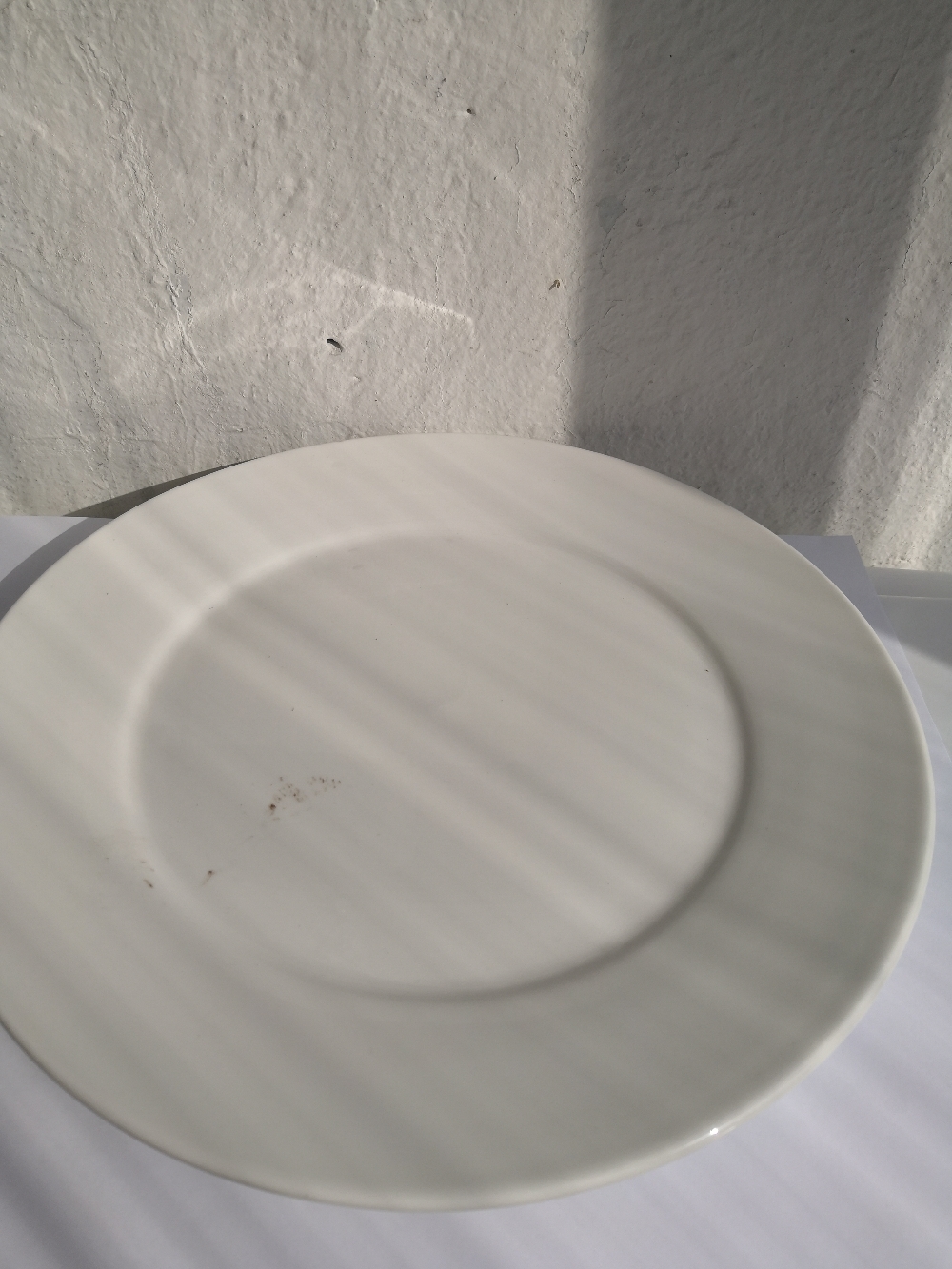 Фотография покупателя товара Тарелка фарфоровая обеденная Доляна White Label, d=22,6 см, цвет белый - Фото 2