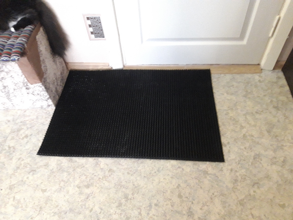 Фотография покупателя товара Покрытие ковровое щетинистое «Травка», 60×90 см, цвет чёрный