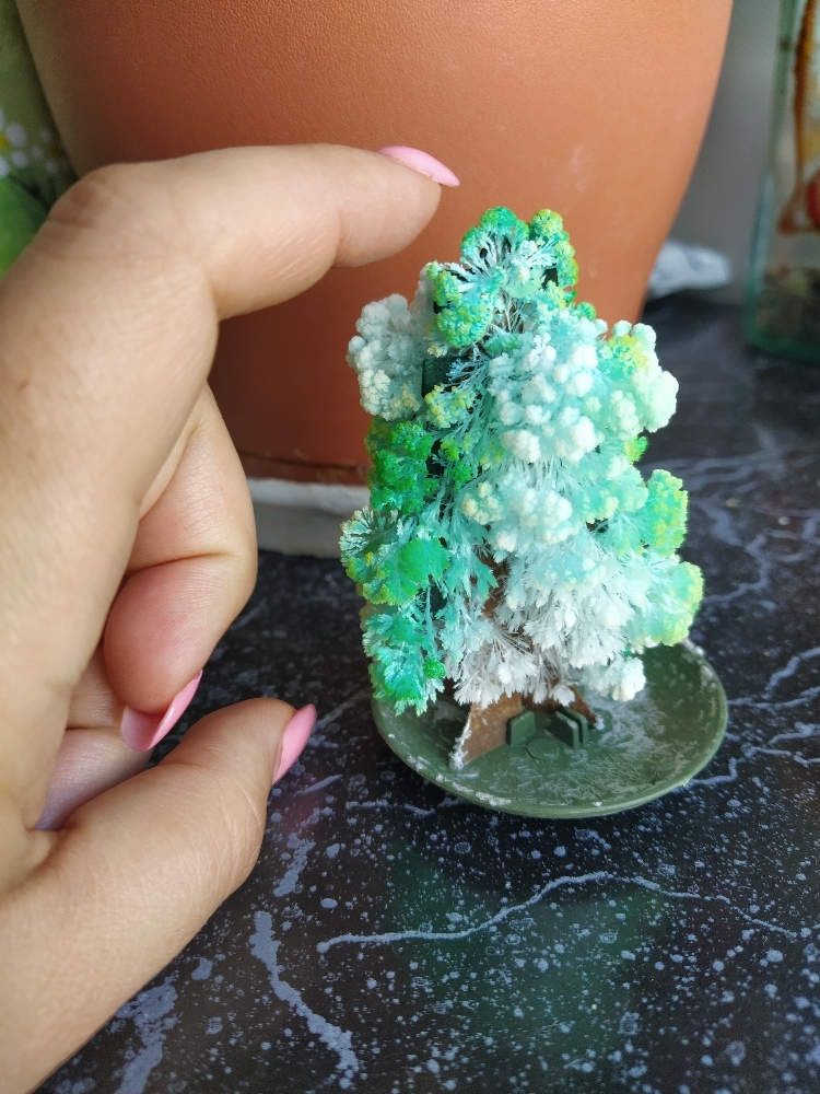 Фотография покупателя товара Набор для выращивания кристалла «Волшебное дерево» цвет зелёный - Фото 44