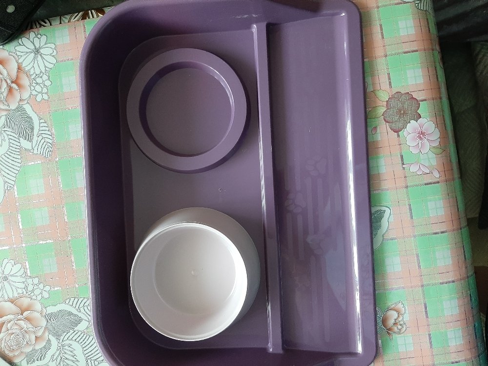 Фотография покупателя товара Миски с лотком "Феликс" 0,3 л, 41 x 30 x 6 см, фиолетовый лоток, белые миски - Фото 39