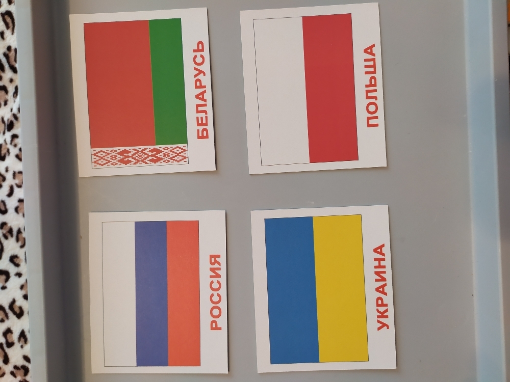 Фотография покупателя товара Набор карточек «Мини-40. Страны + Флаги + Столицы» - Фото 2