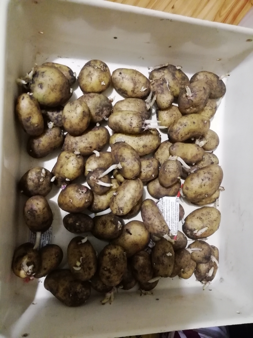 Фотография покупателя товара Семенной картофель Беттина, 2 репр., 1 кг - Фото 1