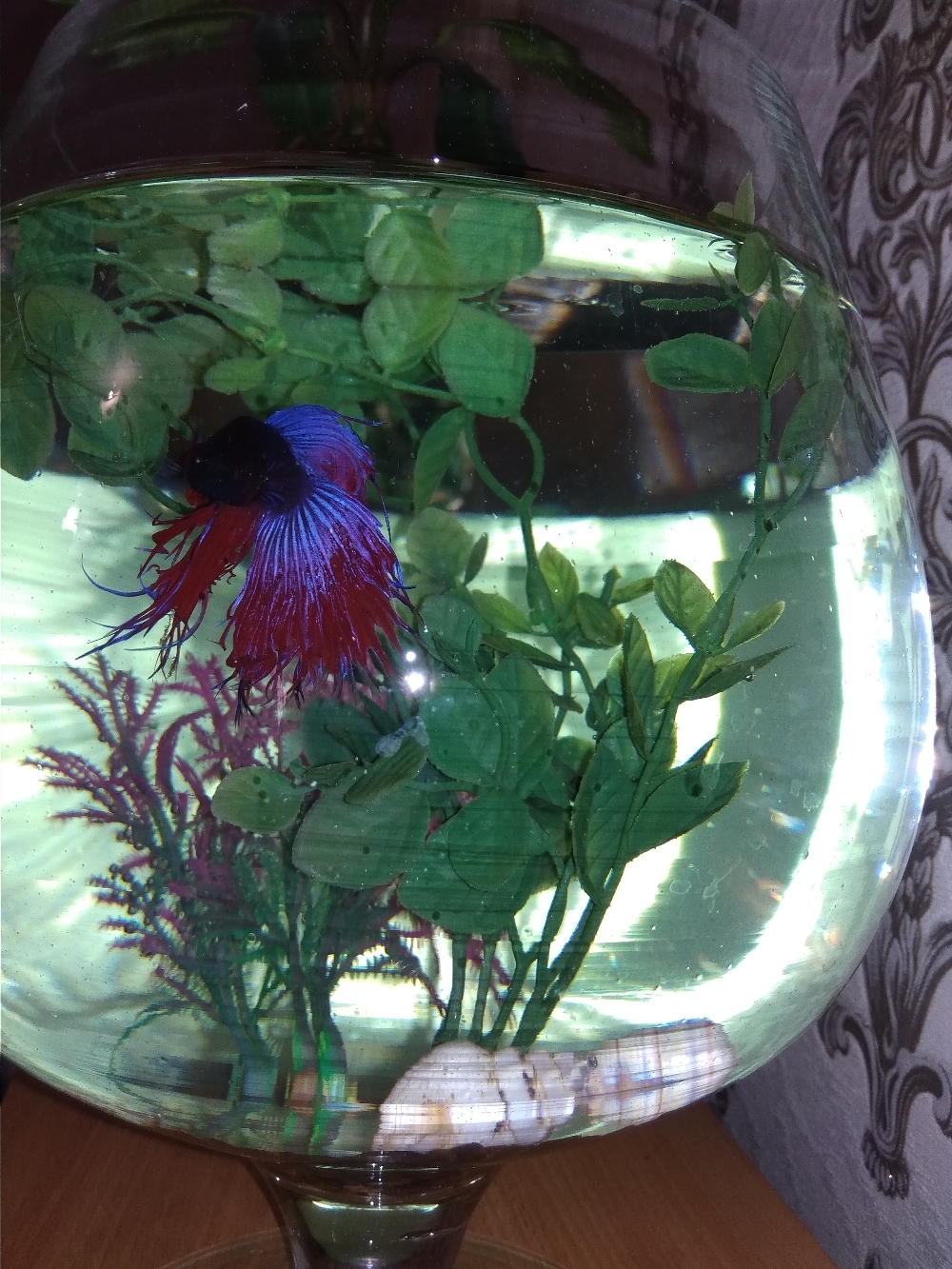 Фотография покупателя товара Растение искусственное аквариумное, 25 см, микс цветов