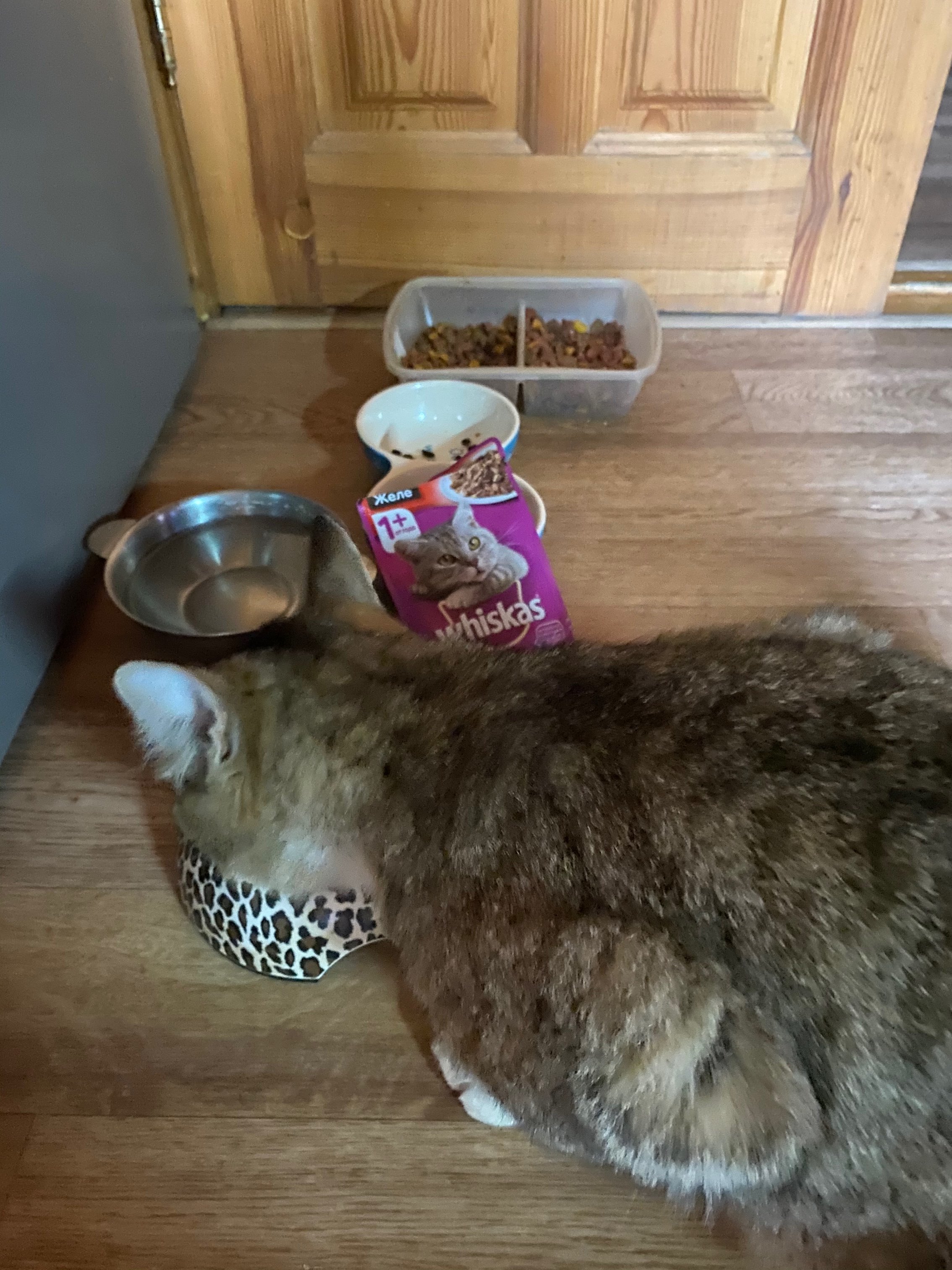 Фотография покупателя товара Влажный корм Whiskas для кошек, говядина/ягненок в желе, пауч, 85 г