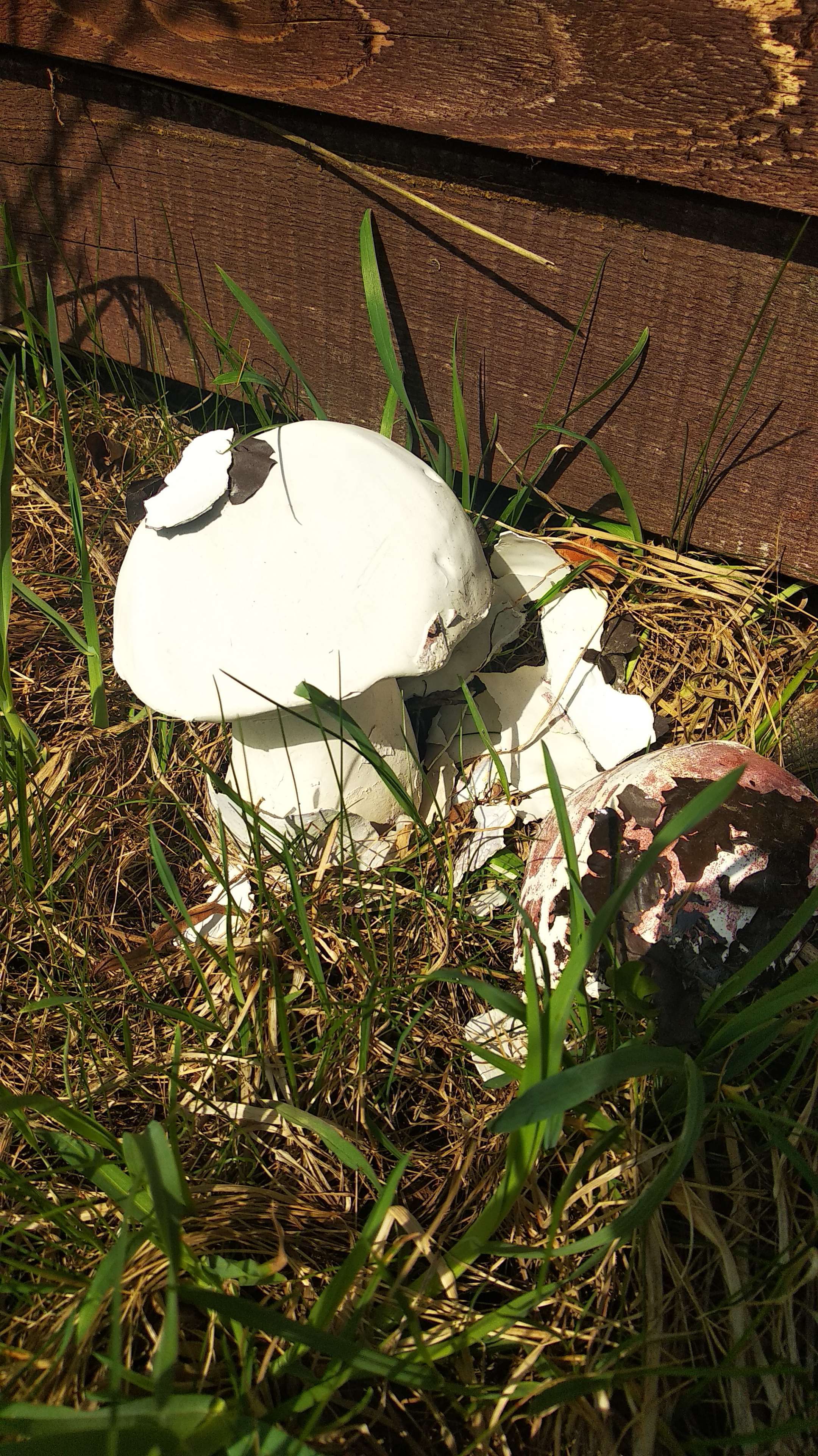 Фотография покупателя товара Садовая фигура "Гриб белый с травой" 22см - Фото 3