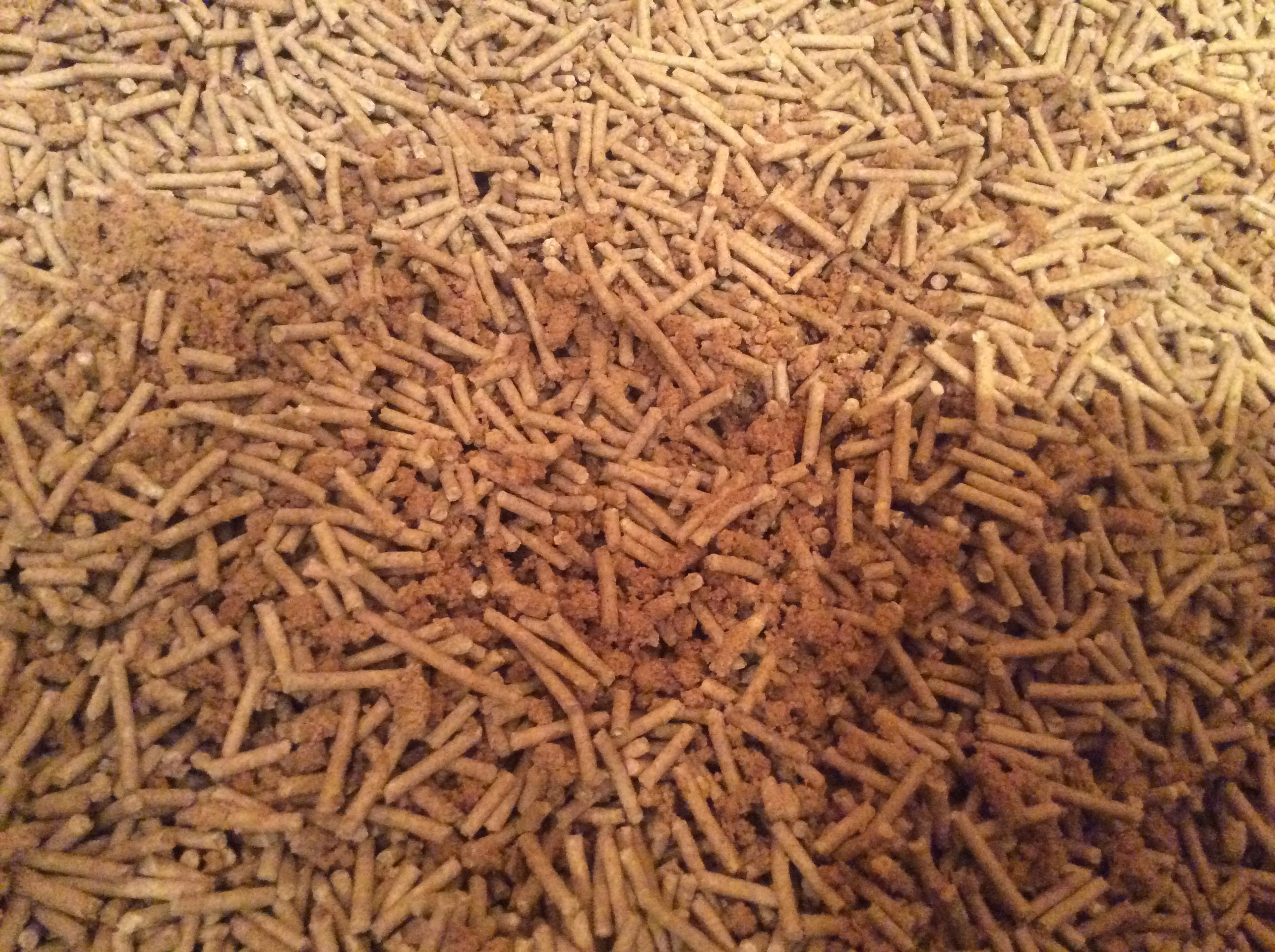 Фотография покупателя товара Наполнитель зерновой комкующийся "Чистые пушистые" классический, гранула ᴓ 2.5мм/2.7 кг/5л - Фото 6