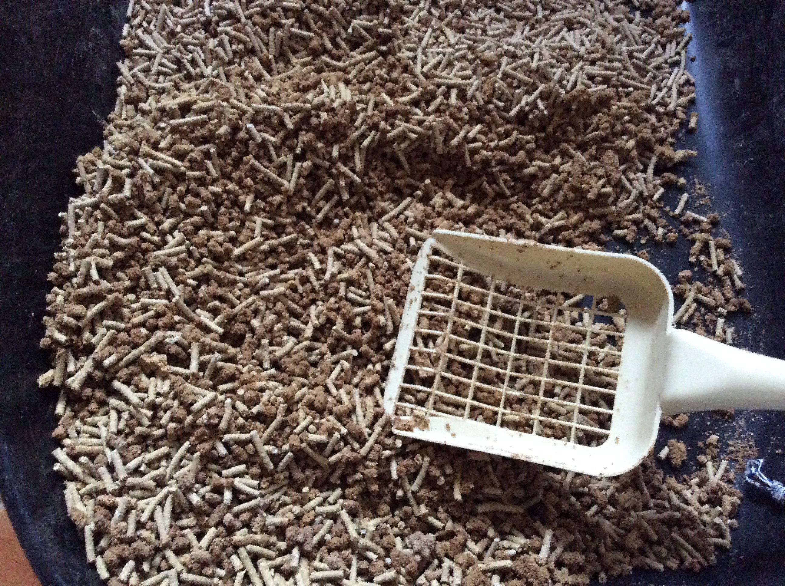 Фотография покупателя товара Наполнитель зерновой комкующийся "Чистые пушистые" классический, гранула ᴓ 2.5мм/2.7 кг/5л - Фото 7