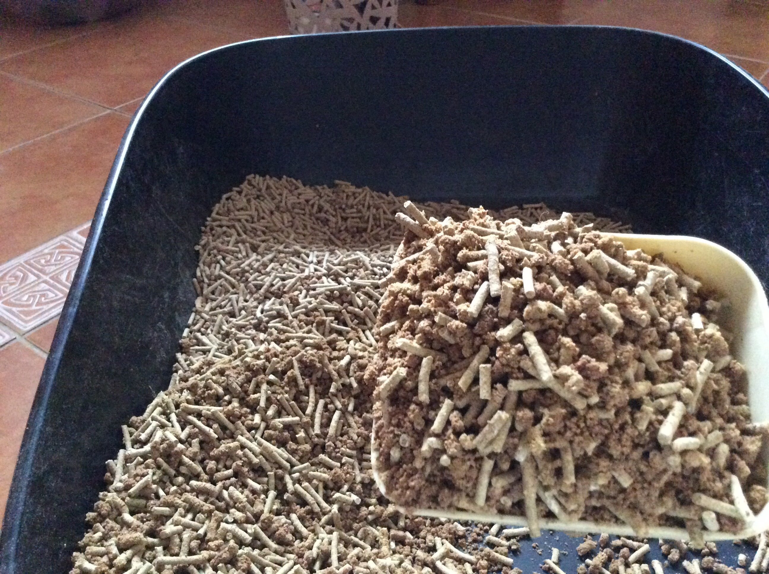 Фотография покупателя товара Наполнитель зерновой комкующийся "Чистые пушистые" классический, гранула ᴓ 2.5мм/2.7 кг/5л - Фото 8