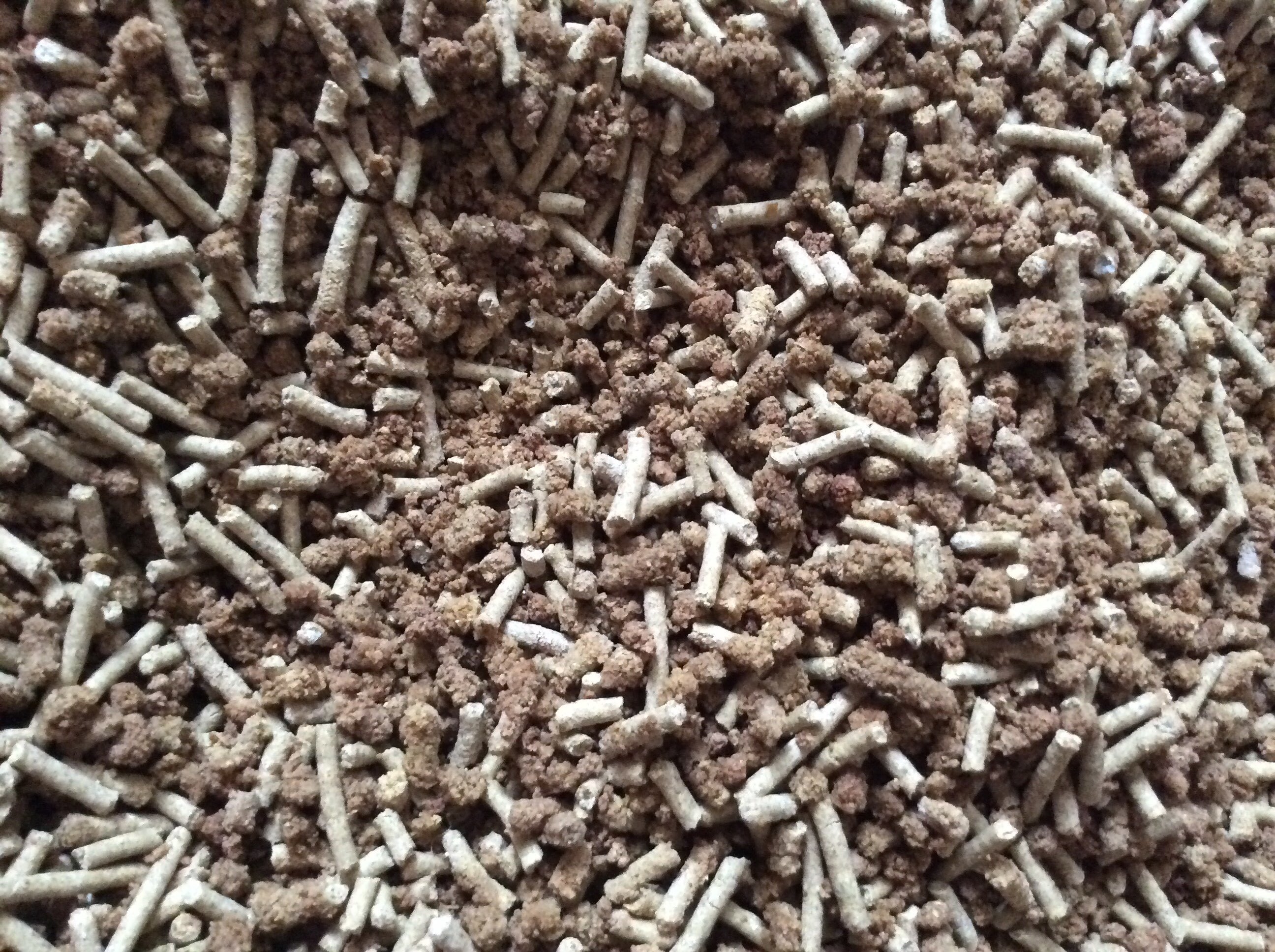 Фотография покупателя товара Наполнитель зерновой комкующийся "Чистые пушистые" классический, гранула ᴓ 2.5мм/2.7 кг/5л