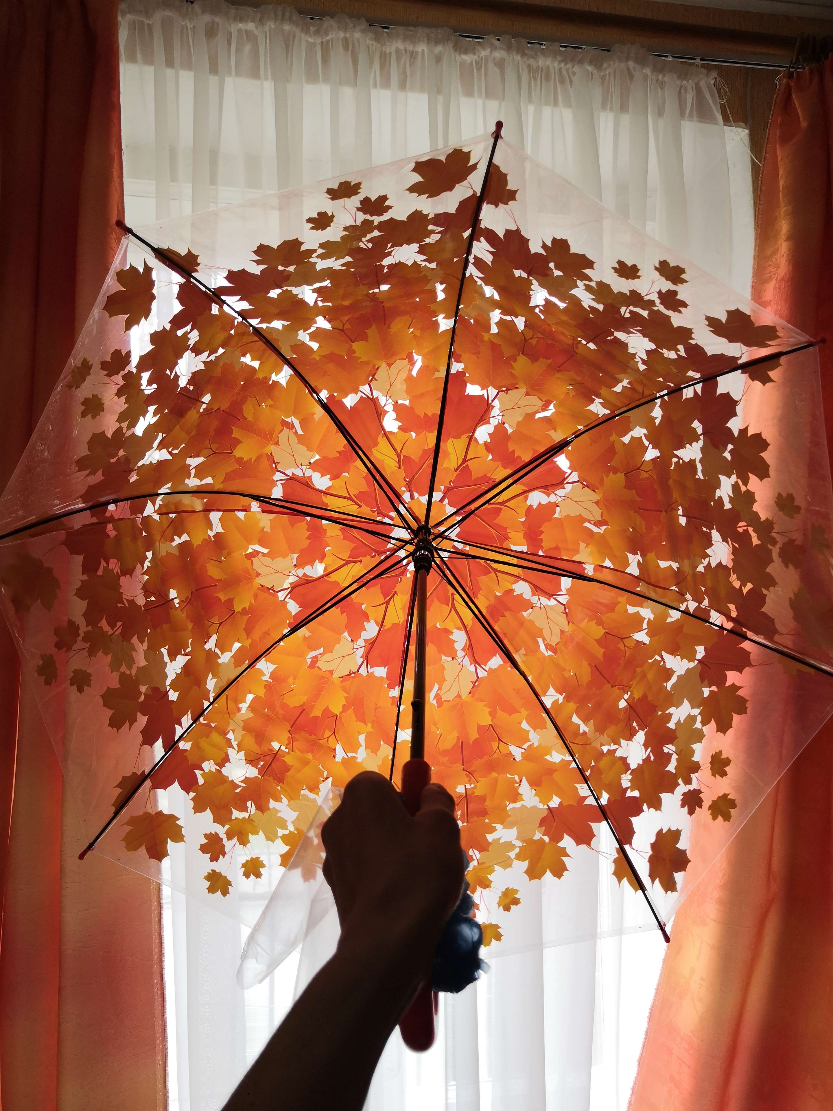 Фотография покупателя товара Зонт - трость полуавтоматический «Листопад», 8 спиц, R = 40 см, цвет оранжевый - Фото 1