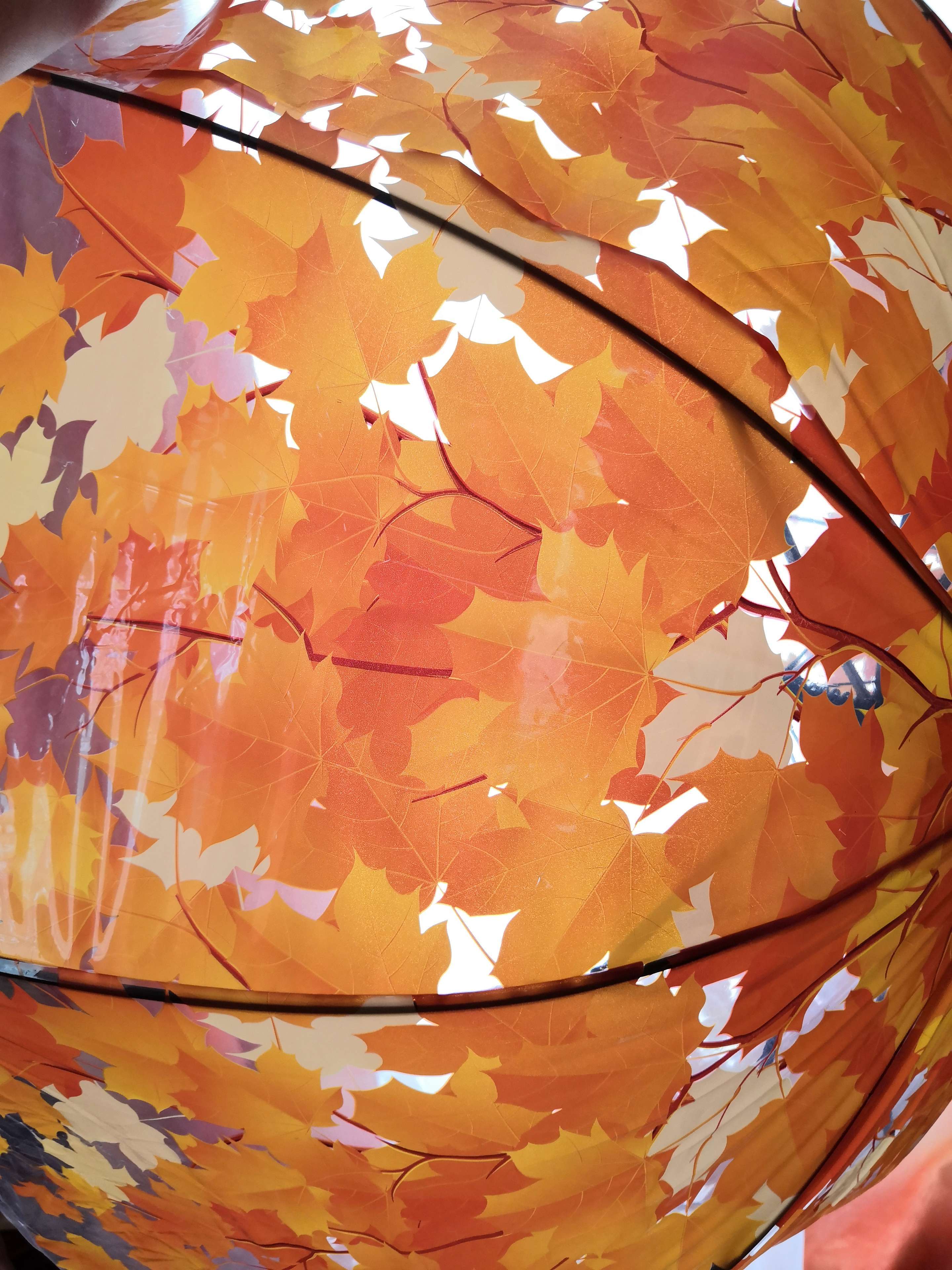 Фотография покупателя товара Зонт - трость полуавтоматический «Листопад», 8 спиц, R = 40 см, цвет оранжевый