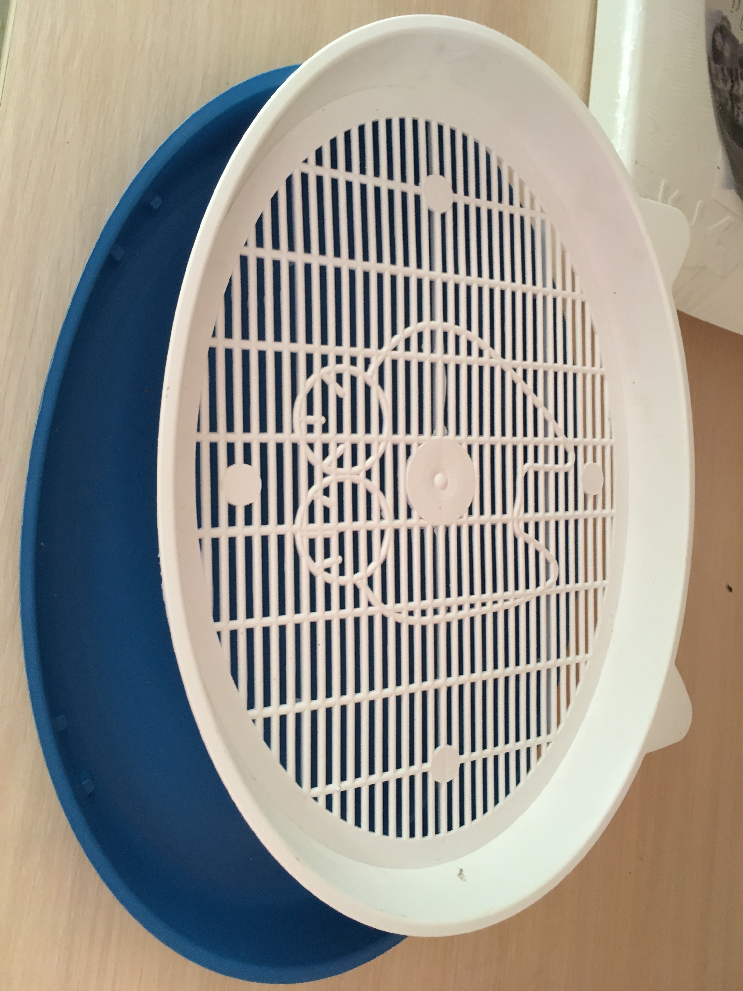 Фотография покупателя товара Туалет с сеткой "Киса", 37 х 27 х 4 см, синий - Фото 6