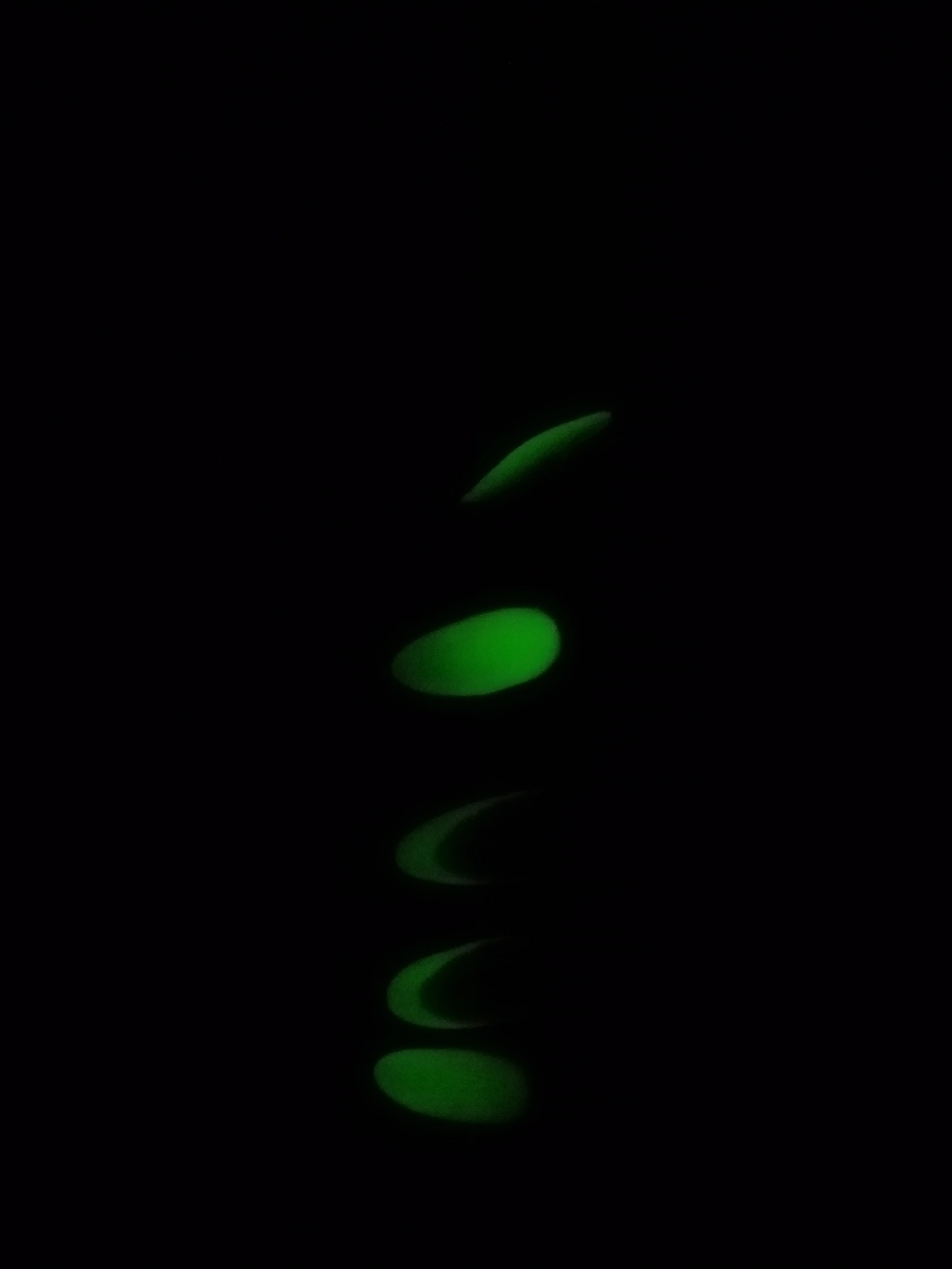 Фотография покупателя товара Гель-лак для ногтей, светится в темноте, трёхфазный LED/UV, 10мл, цвет 04 жёлтый неон - Фото 5