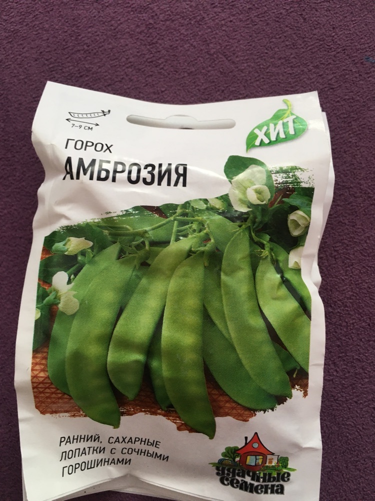 Фотография покупателя товара Семена Горох "Амброзия", сахарный, 6 г  серия ХИТ х3 - Фото 1