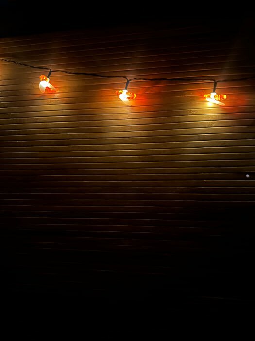 Фотография покупателя товара Гирлянда «Нить» 4.5 м с насадками «Пчёлки», IP44, тёмная нить, 30 LED, свечение тёплое белое, 2 режима, солнечная батарея - Фото 8
