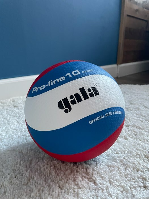 Фотография покупателя товара Мяч волейбольный Gala Pro-Line10, BV5581S, синтетическая кожа, микрофибра, клееный, 10 панелей, р. 5 - Фото 1