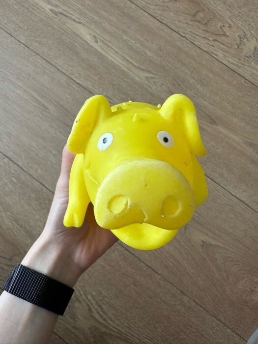 Фотография покупателя товара Игрушка пищащая "Весёлая свинья" для собак, хрюкающая, 19 см, жёлтая - Фото 3