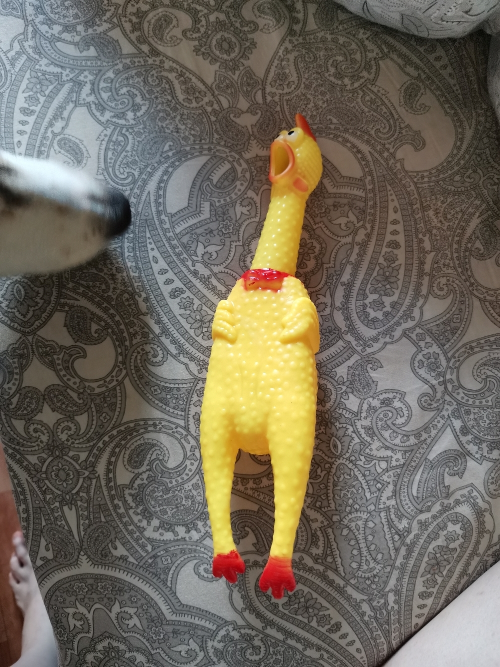 Фотография покупателя товара Игрушка пищащая "Курица", 31 см - Фото 2