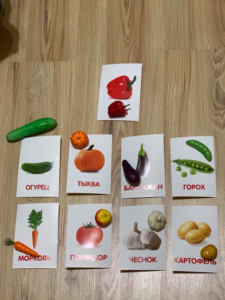 Фотография покупателя товара Обучающий набор по методике Г. Домана «Овощи»: 9 карточек + 9 овощей, счётный материал - Фото 8