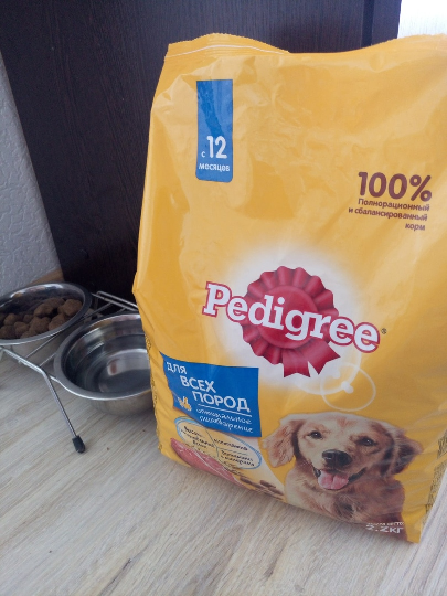 Фотография покупателя товара Сухой корм Pedigree для взрослых собак всех пород, говядина, 600 г - Фото 1