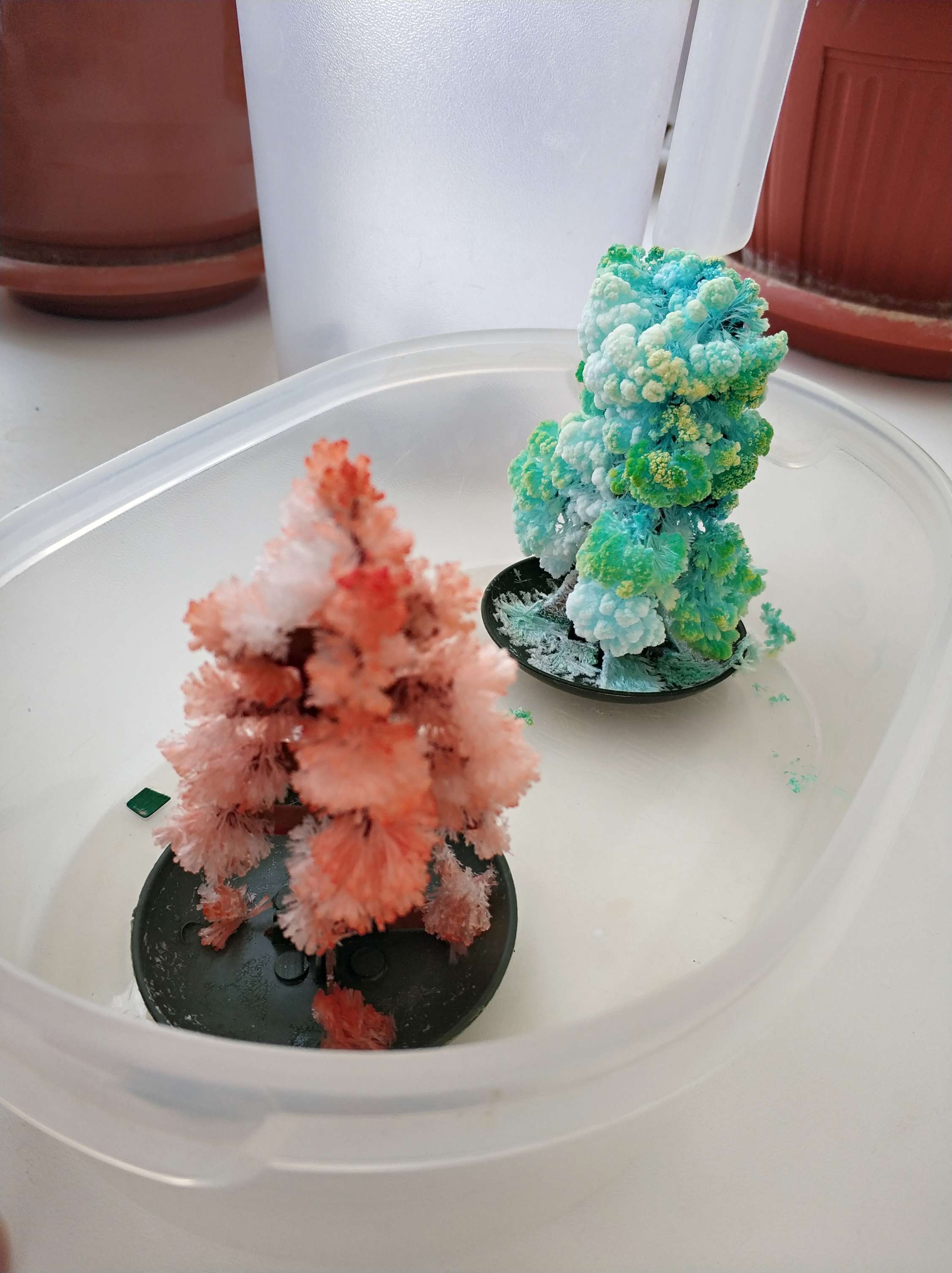 Фотография покупателя товара Набор для выращивания кристалла «Волшебное дерево» цвет зелёный