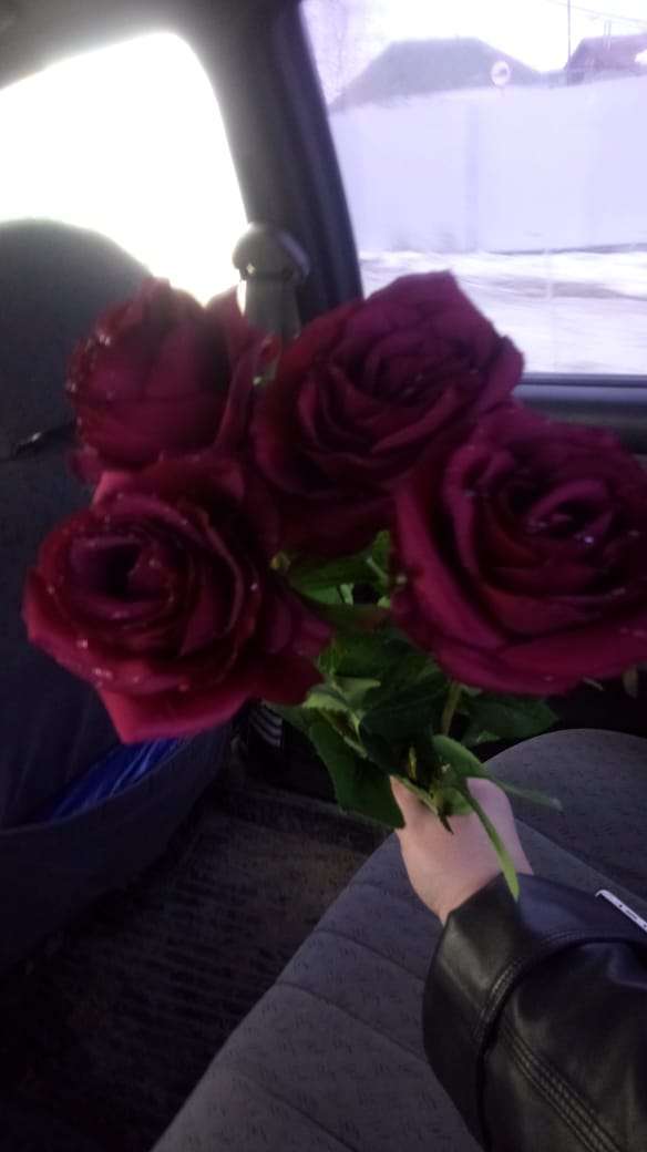 Фотография покупателя товара Цветы искусственные роза капля 55 см бордо - Фото 1