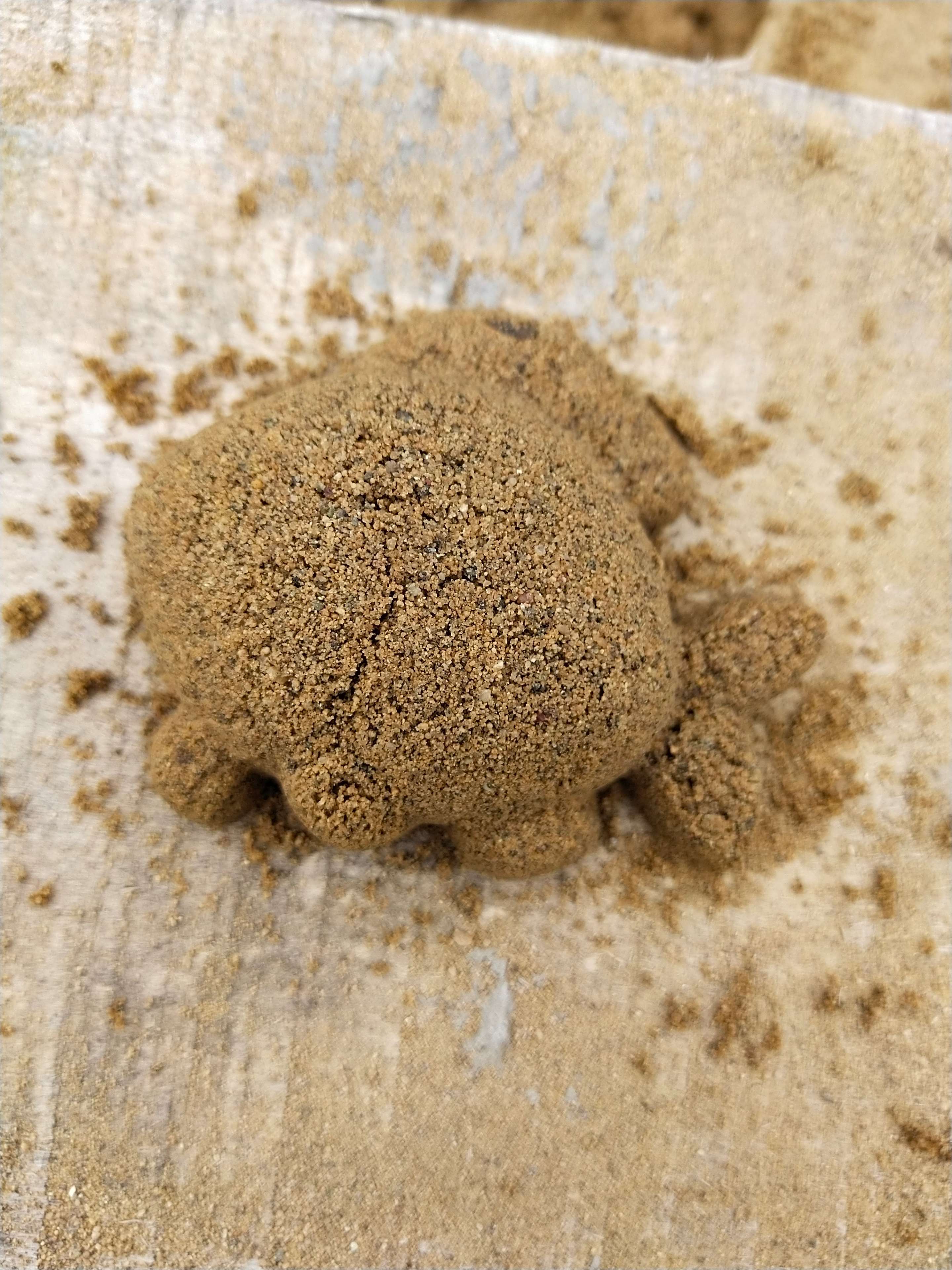 Фотография покупателя товара Набор для песочницы, 4 формочки для песка, МИКС - Фото 16